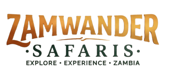 ZamWander