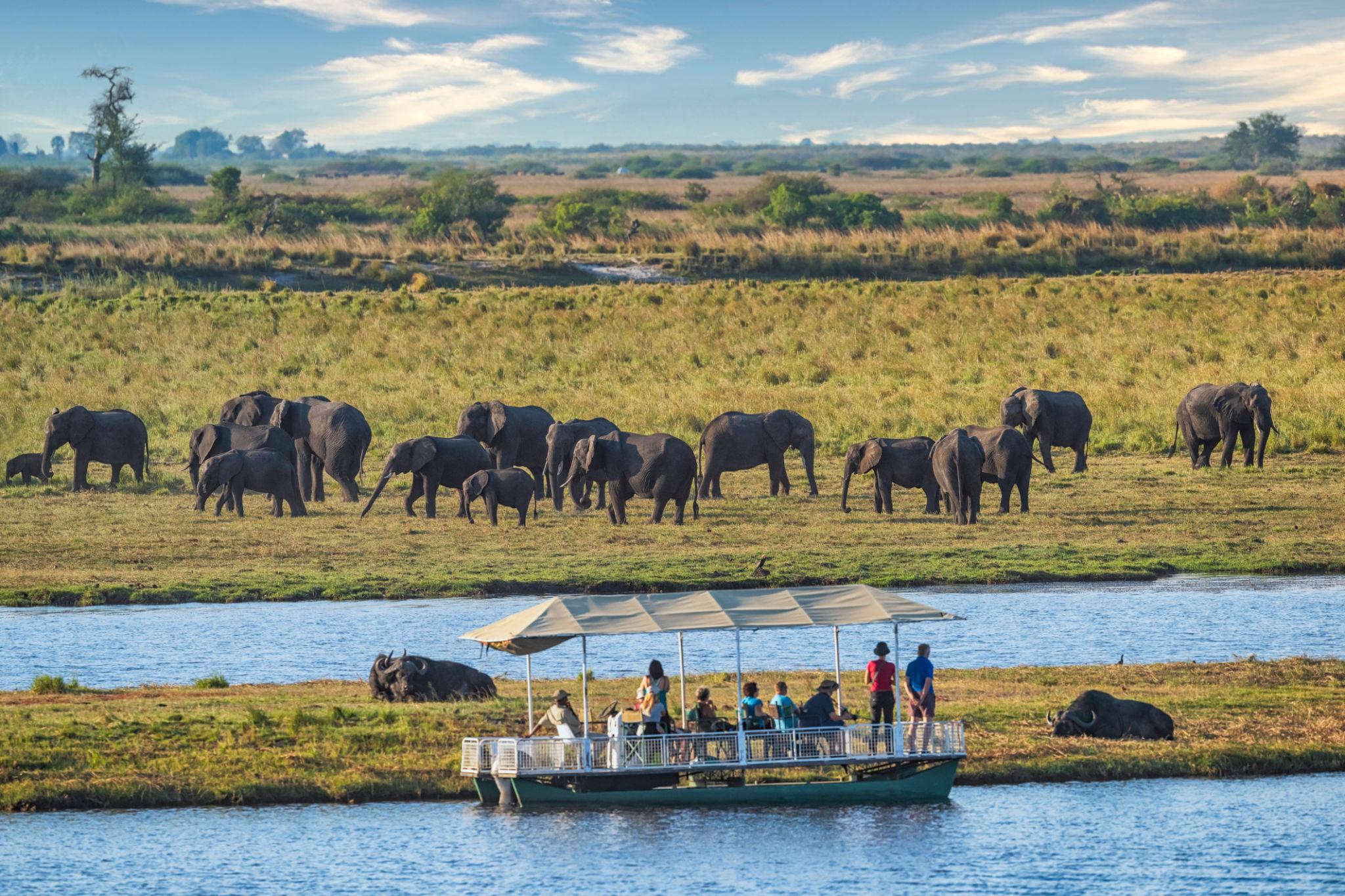 Full Chobe Day Trip from Livingstone: Everything You Need to Know