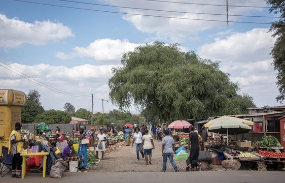 Take a Livingstone Heritage & Cultural Tour