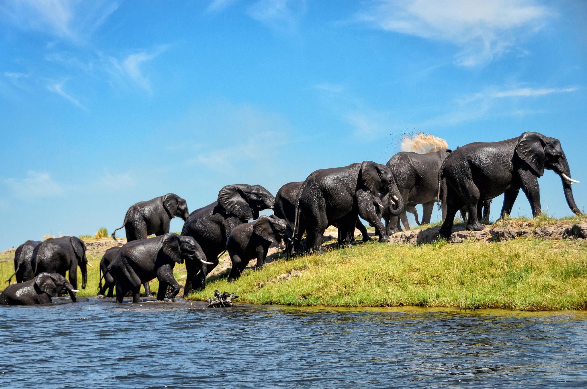 Victoria Falls & Livingstone Travel Guide